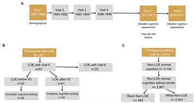 Cognitive phenotypes in late-onset epilepsy: results from the atherosclerosis risk in communities study